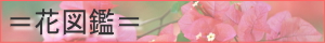 花図鑑